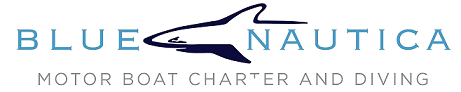 Logo Blue Nautica