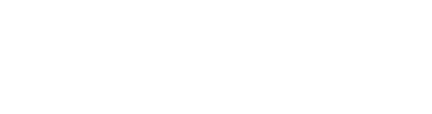 Logo Sail Fast Experience