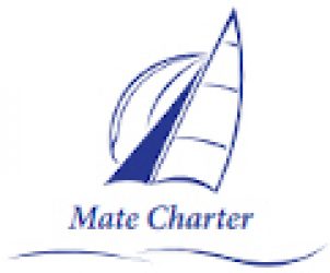 Logo T.O. Mate