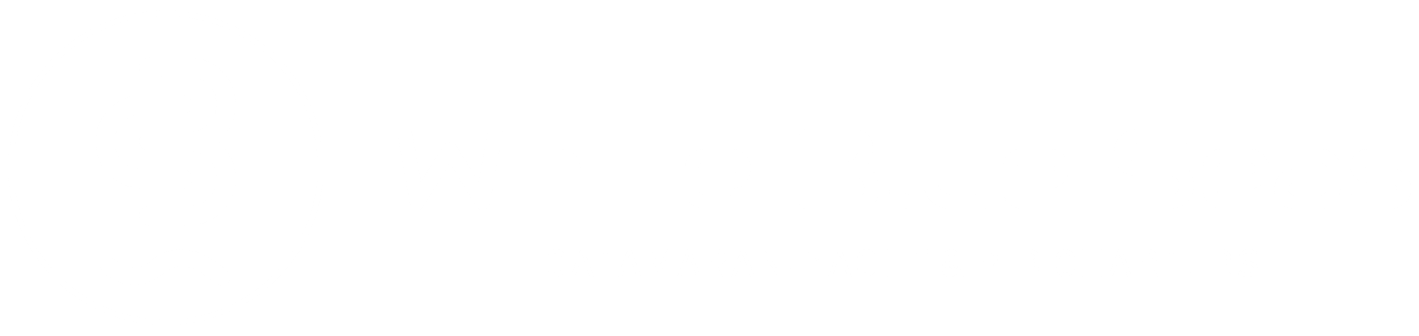 Logo White Blue Seas